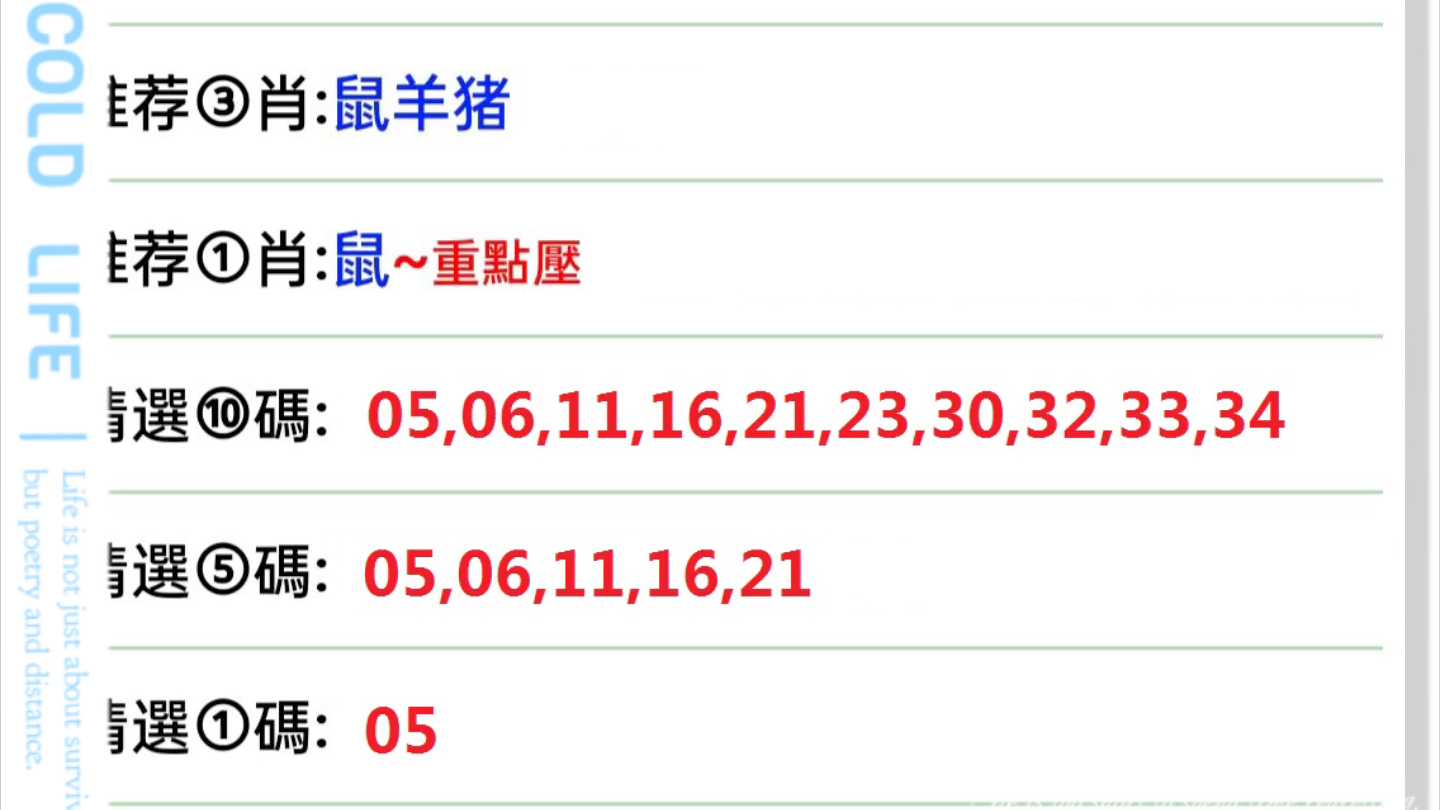 2024年11月 第325页